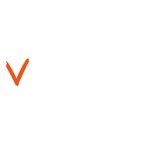 Logo vAudience